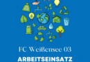 Arbeitseinsatz